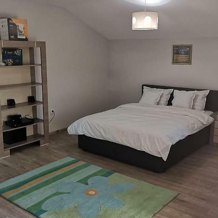 Viking Apartment Grigo Cluj-Napoca Extérieur photo
