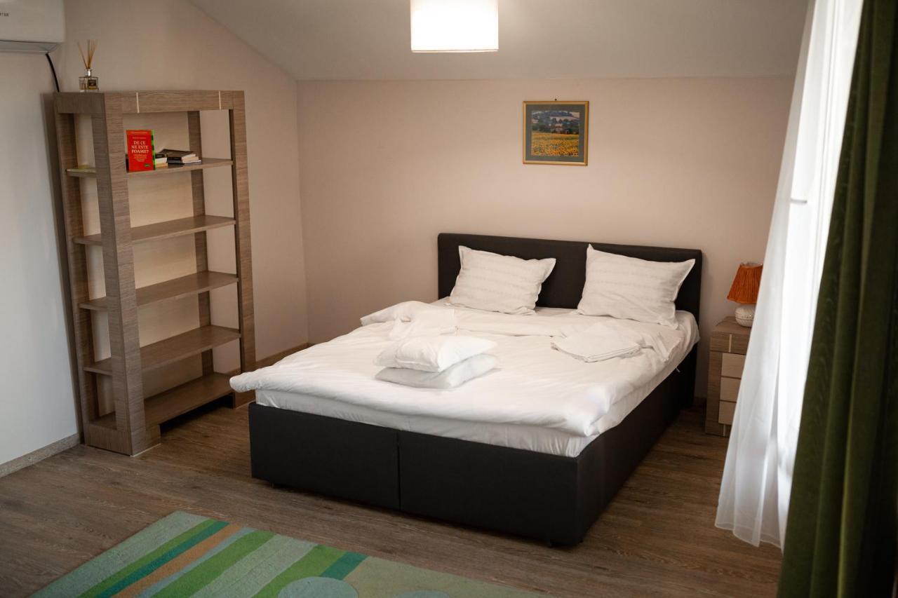 Viking Apartment Grigo Cluj-Napoca Extérieur photo