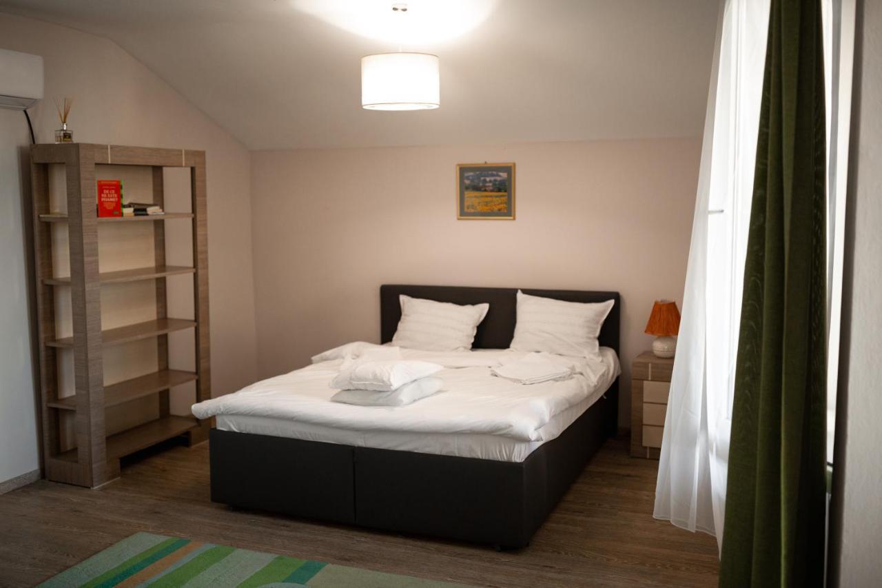 Viking Apartment Grigo Cluj-Napoca Extérieur photo