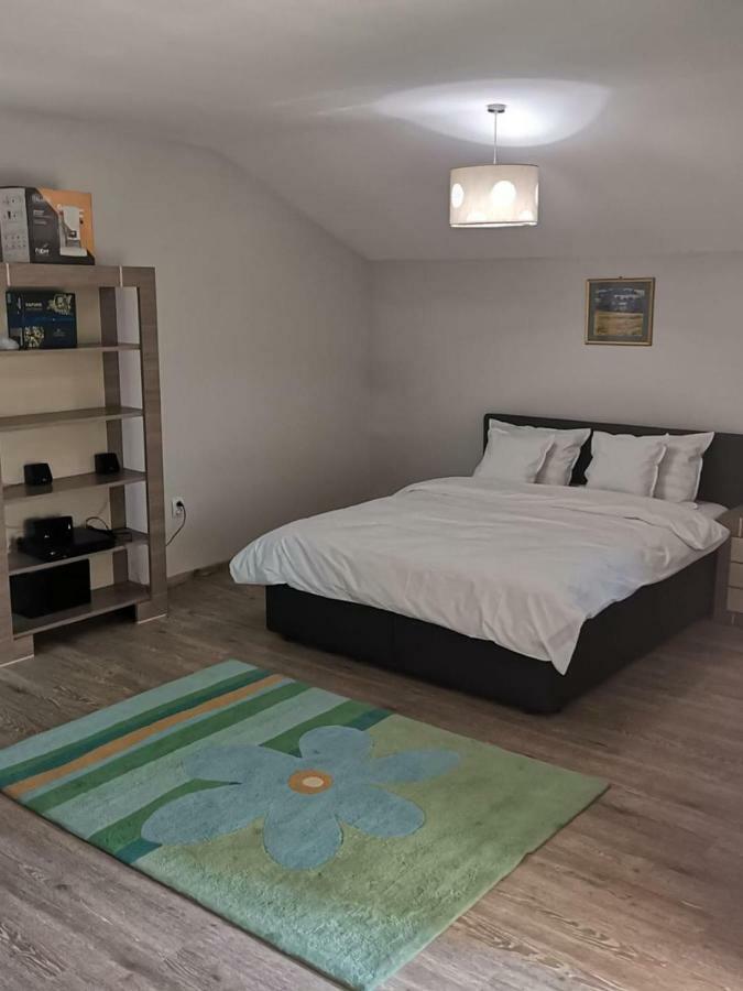 Viking Apartment Grigo Cluj-Napoca Extérieur photo
